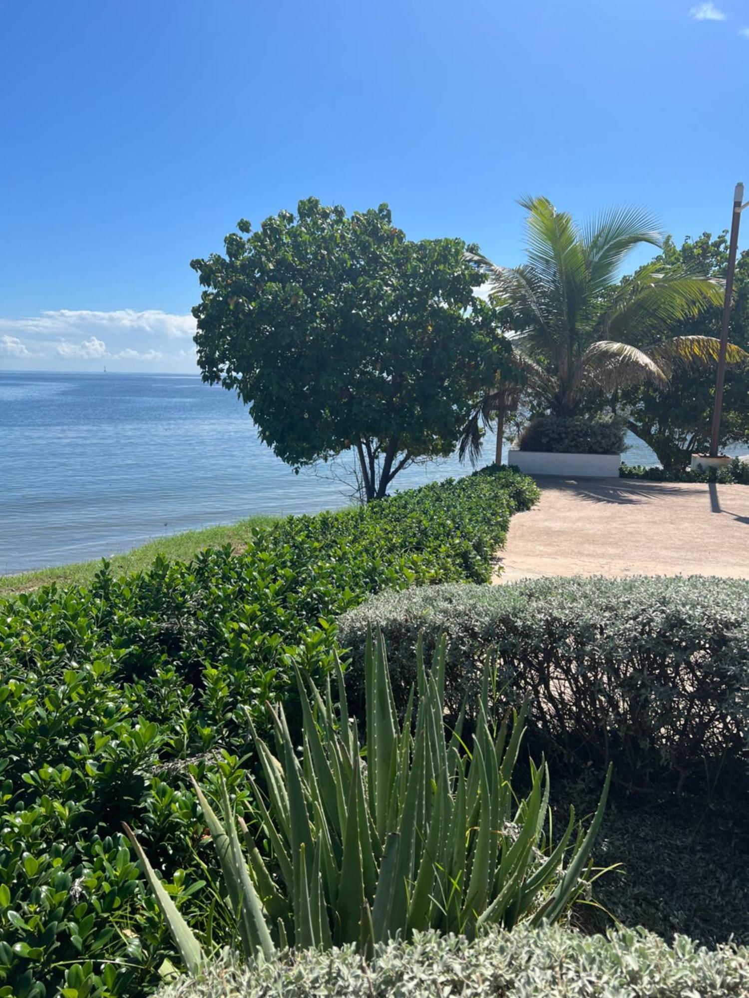 Bayfront Villa & Apartment Portmore Exterior foto
